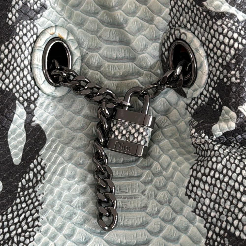 CHRISTIAN DIOR Python + Metal Shoulder Bag - Picture 2 of 12